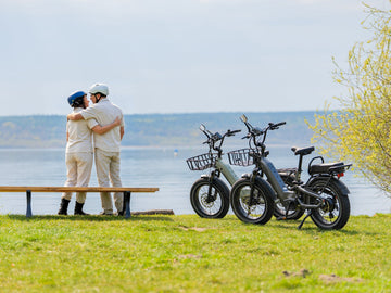 E-Bike mit 250-Watt-Motor