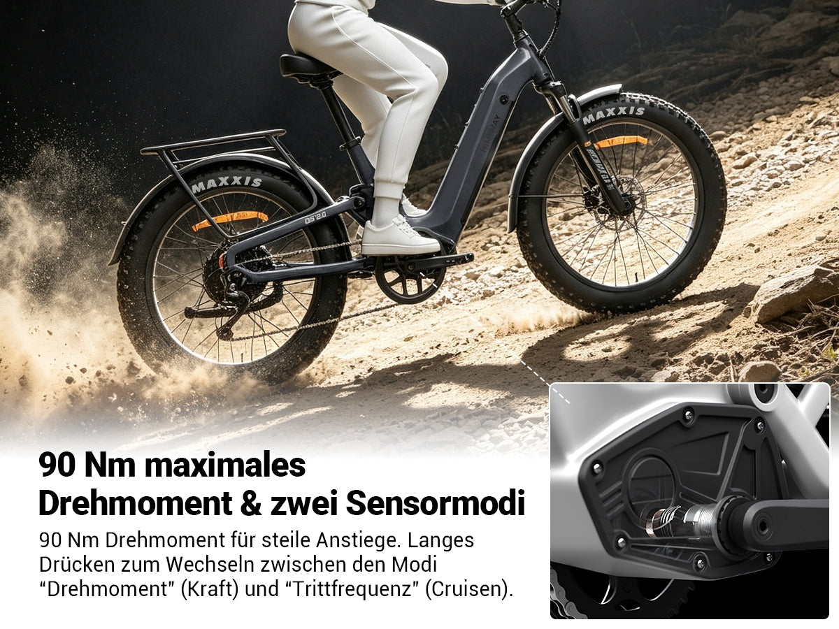 Himiway D5 2.0 ST eBike