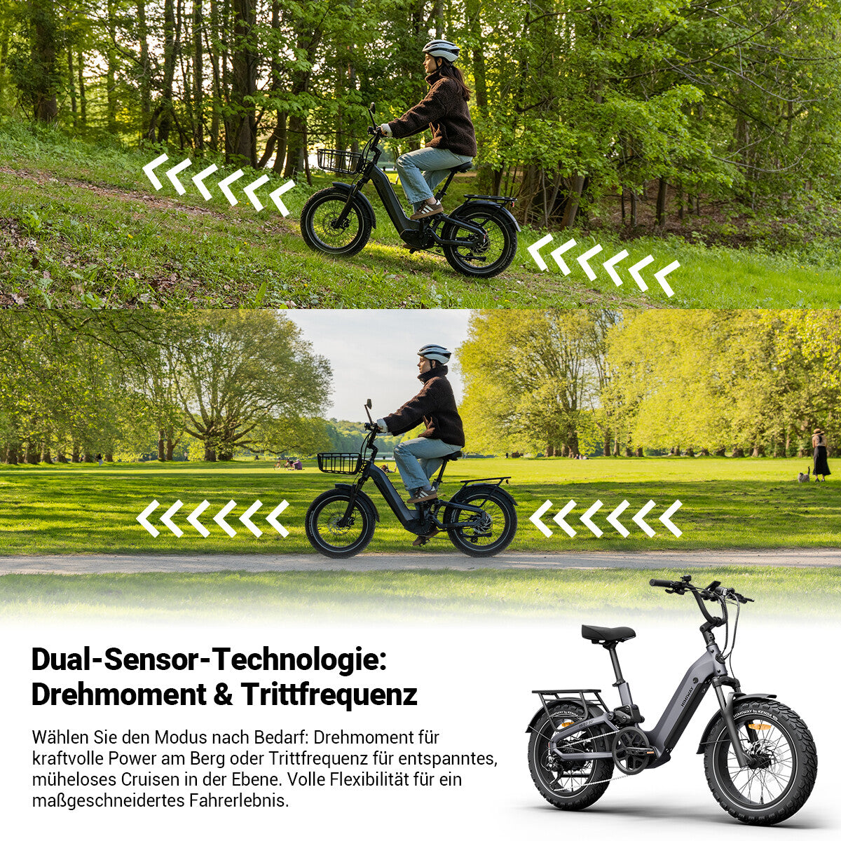 D5 2.0 20 Zoll Ready-to-Ride Paket