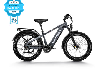 Himiway D5 Zebra Step-Over Fatbike in Grau – vielseitiges elektrisches Fatbike für jedes Gelände